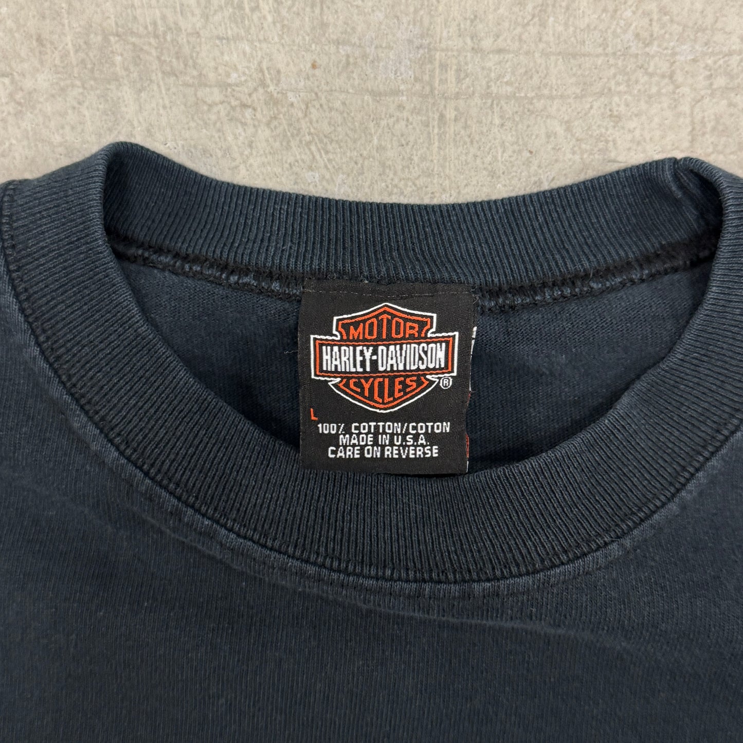 (L) Vintage Harley Davidson Eagle Flame Longsleeve