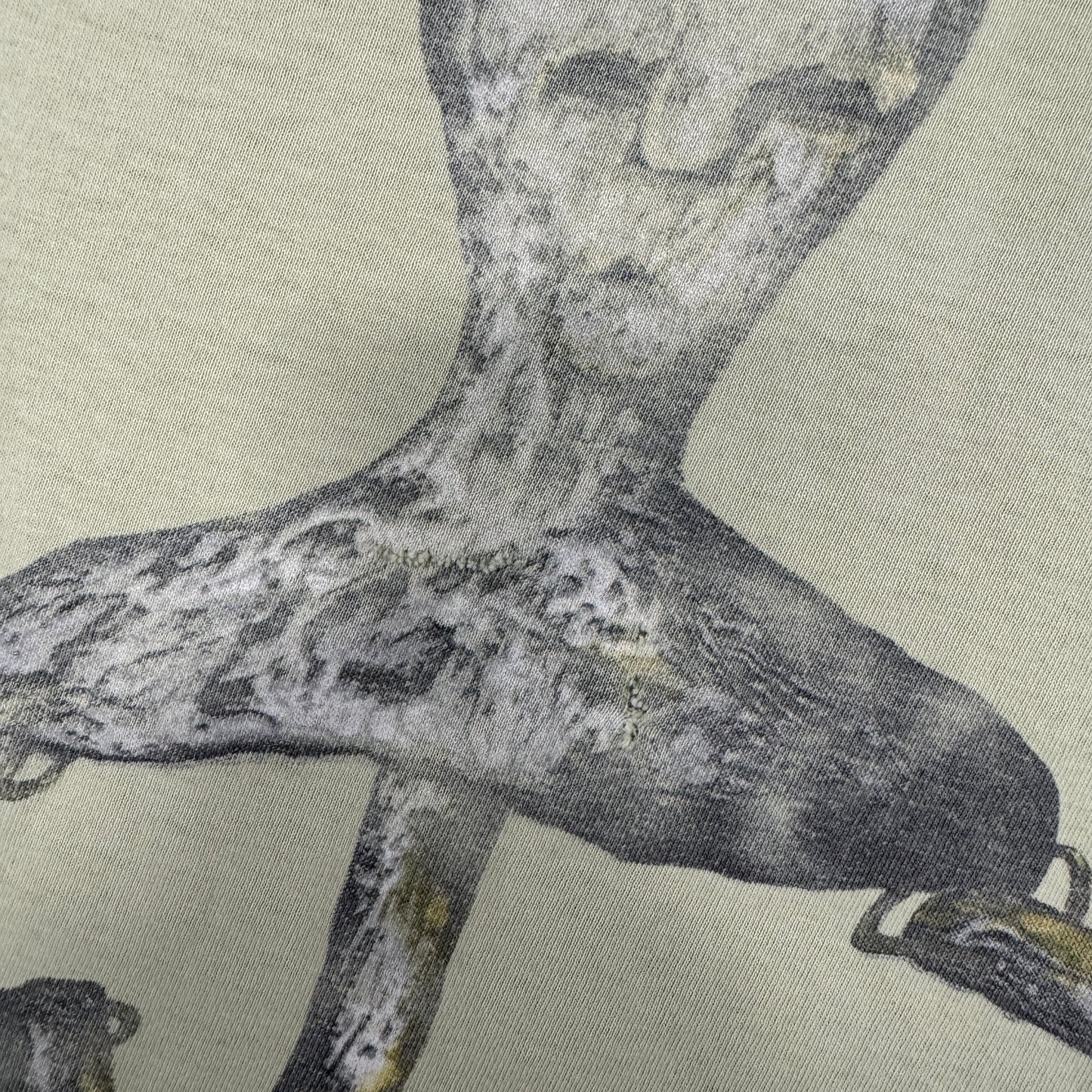 (L) 90s Nirvana Incesticide Shirt