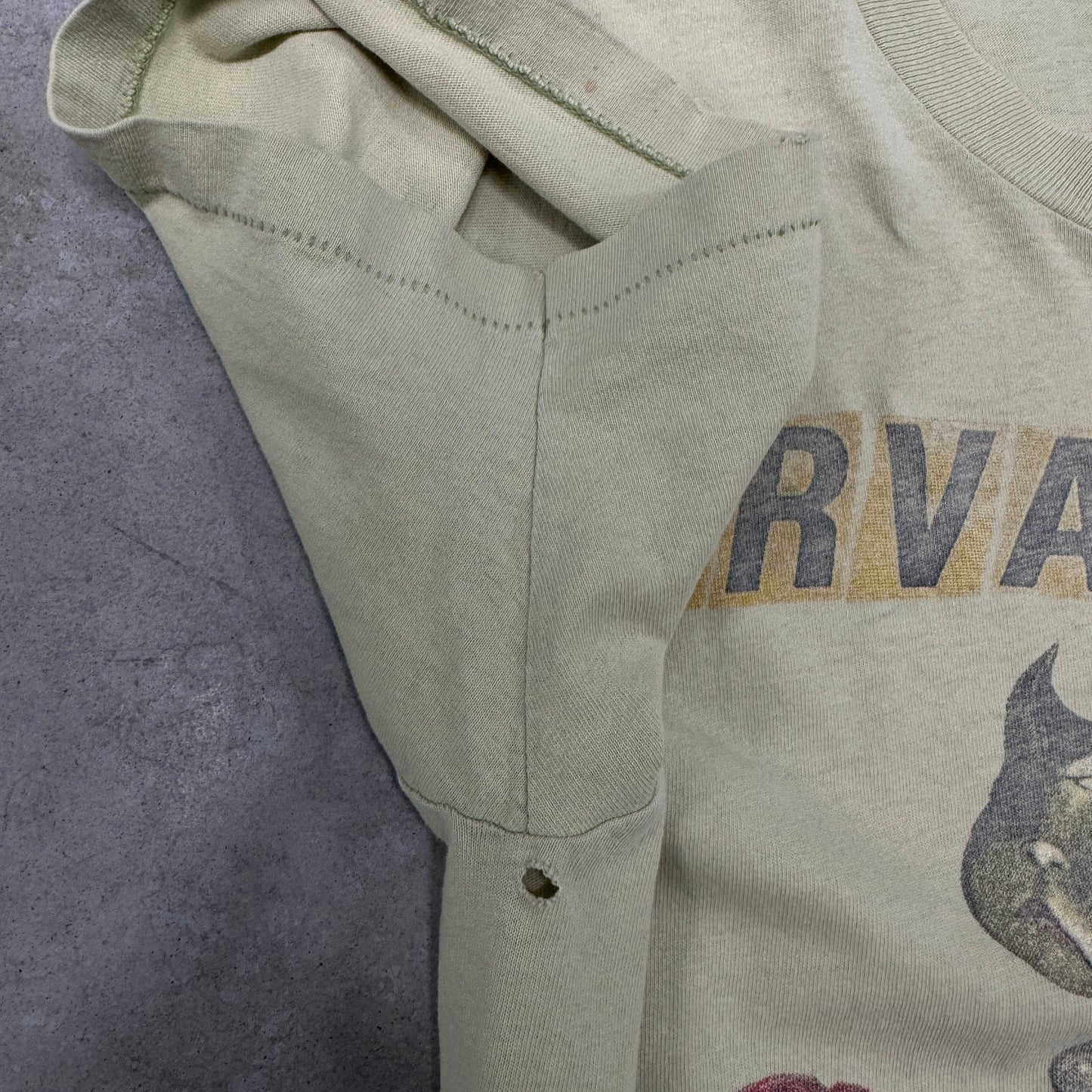 (L) 90s Nirvana Incesticide Shirt