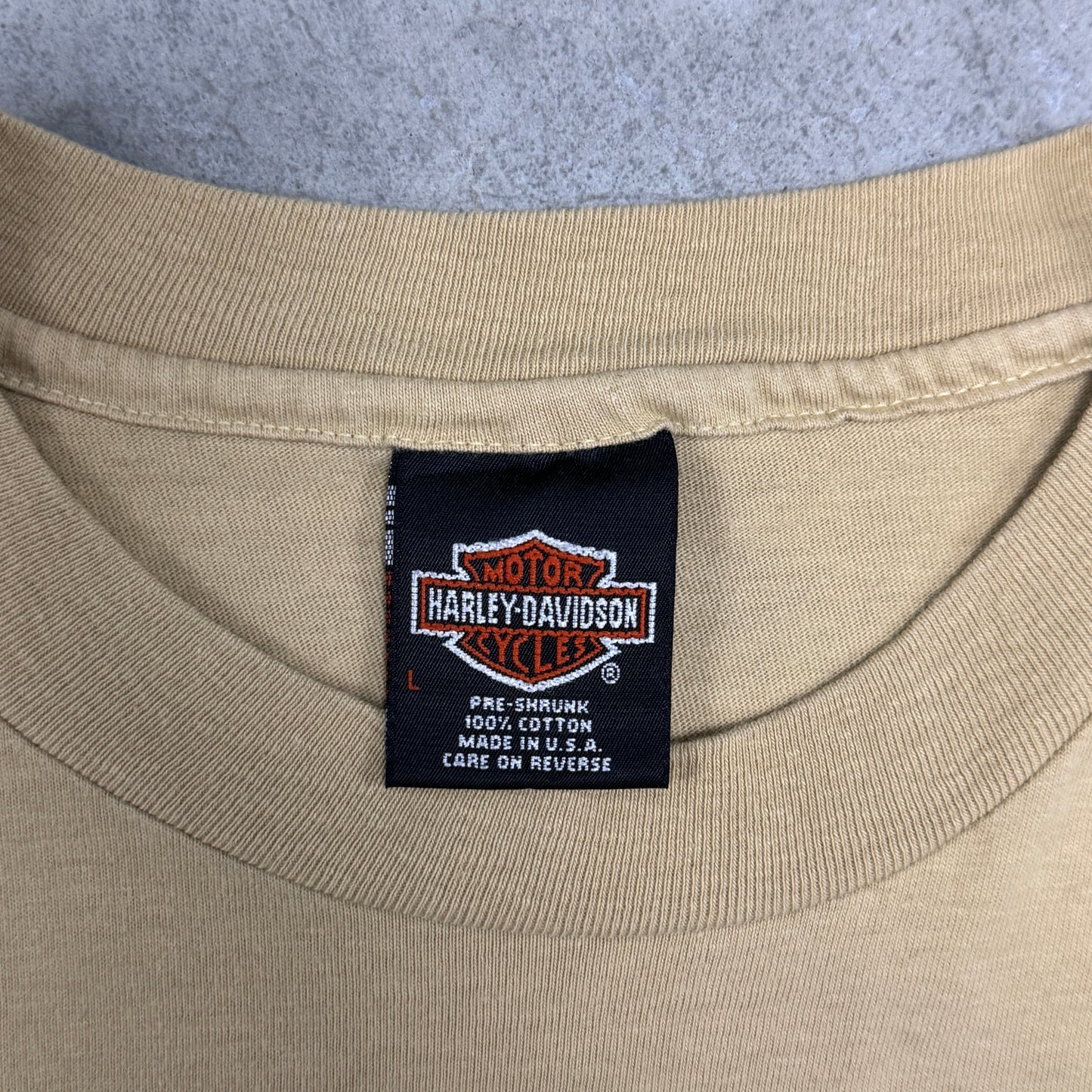 (L) 1993 Harley Davidson Eagle AOP Shirt