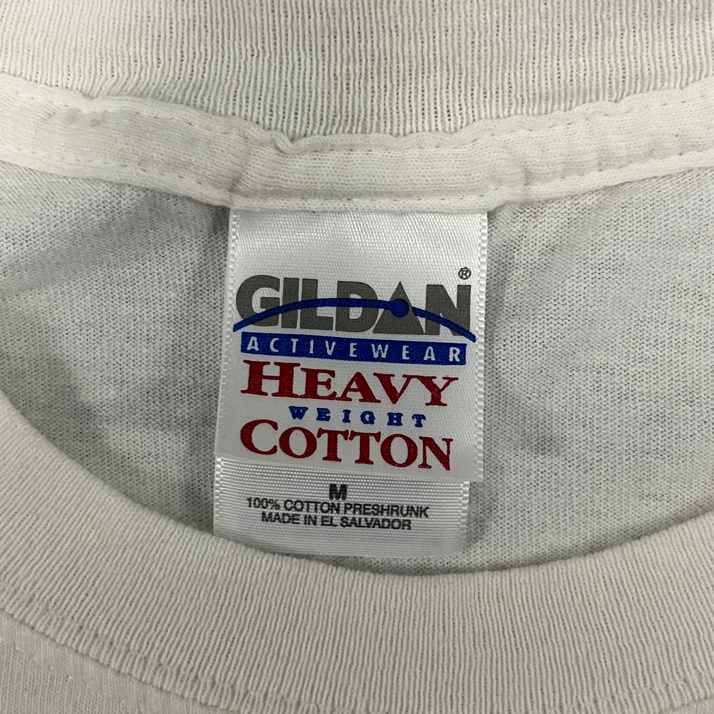 (M) Vintage Dale Earnhardt Jr Nascar Shirt