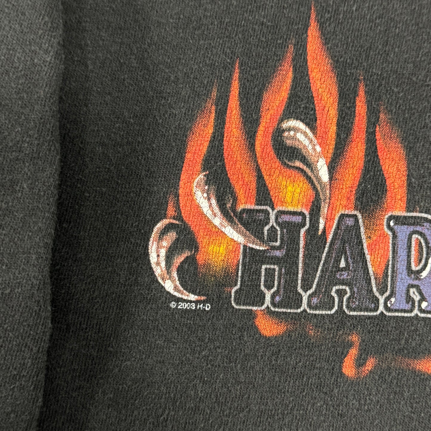 (L) 2003 Harley Davidson Flame Longsleeve