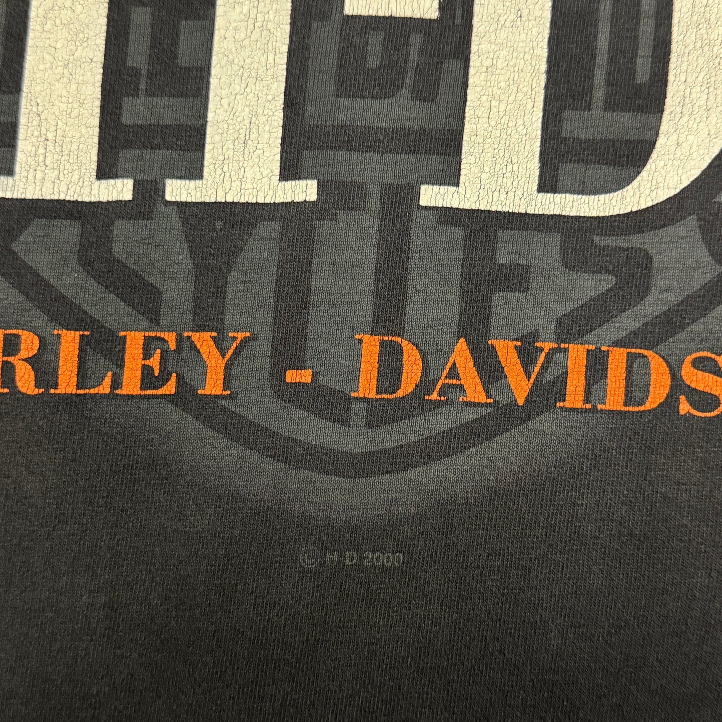 (M/L) 2000 Harley Davidson Flame Longsleeve