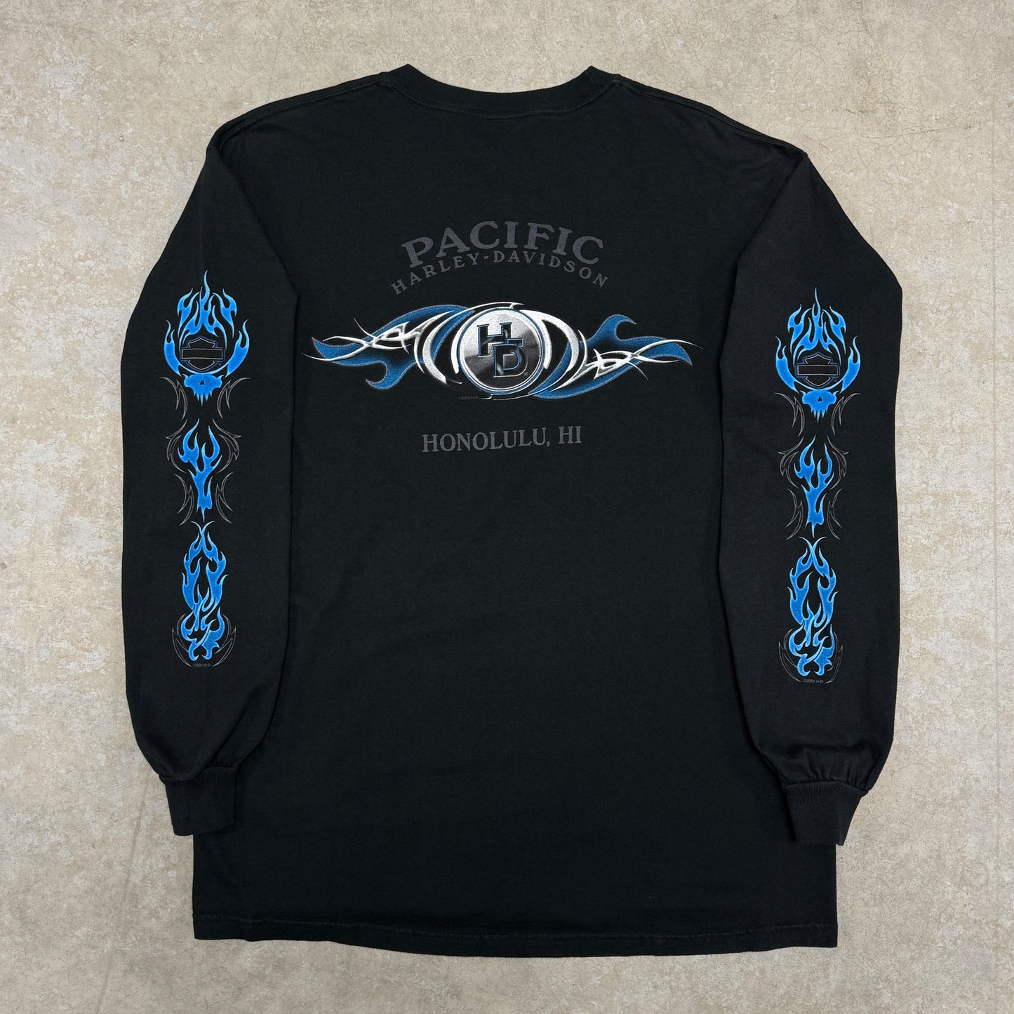(L) Vintage Harley Davidson Blue Flame Longsleeve