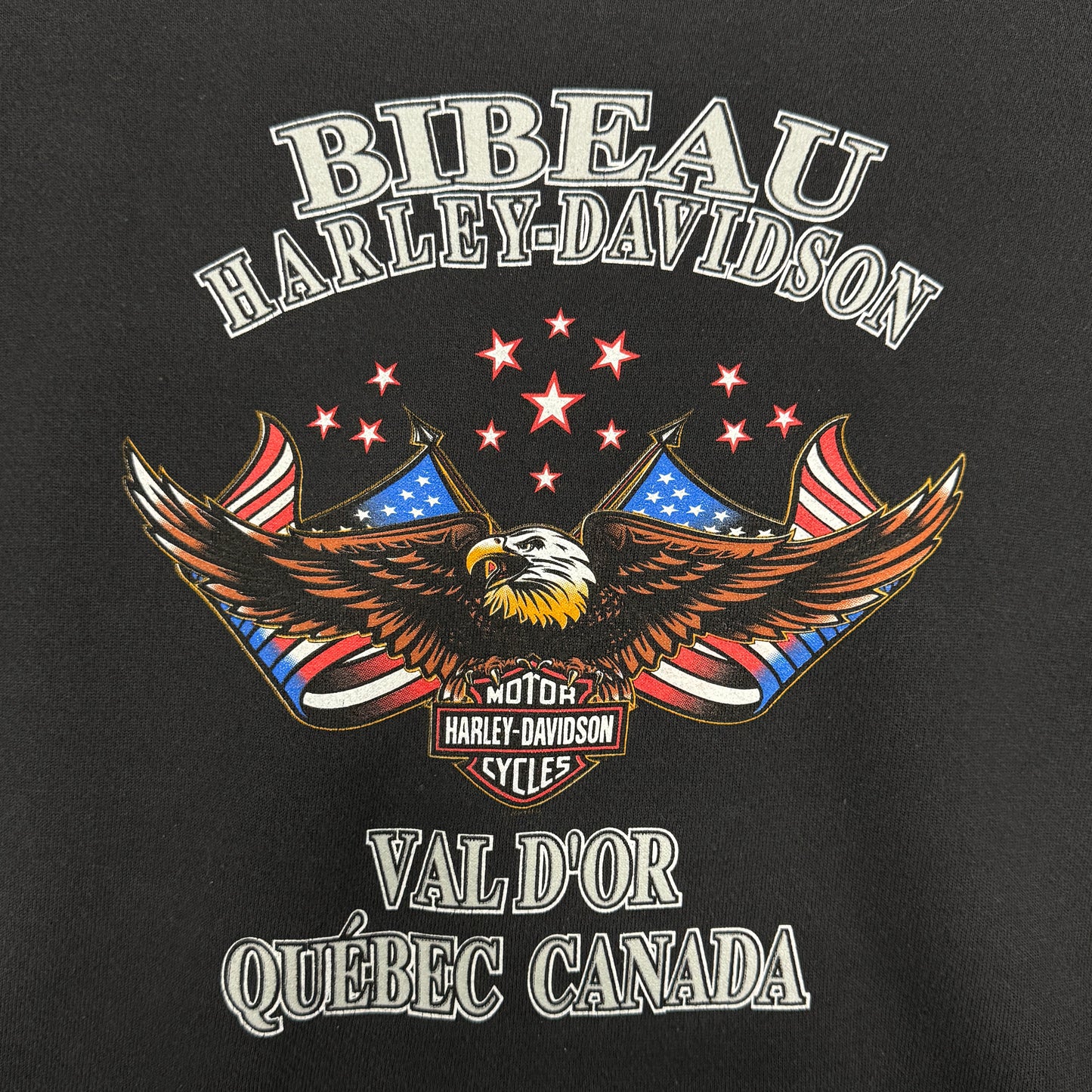 (L) Vintage Harley Davidson Hoodie