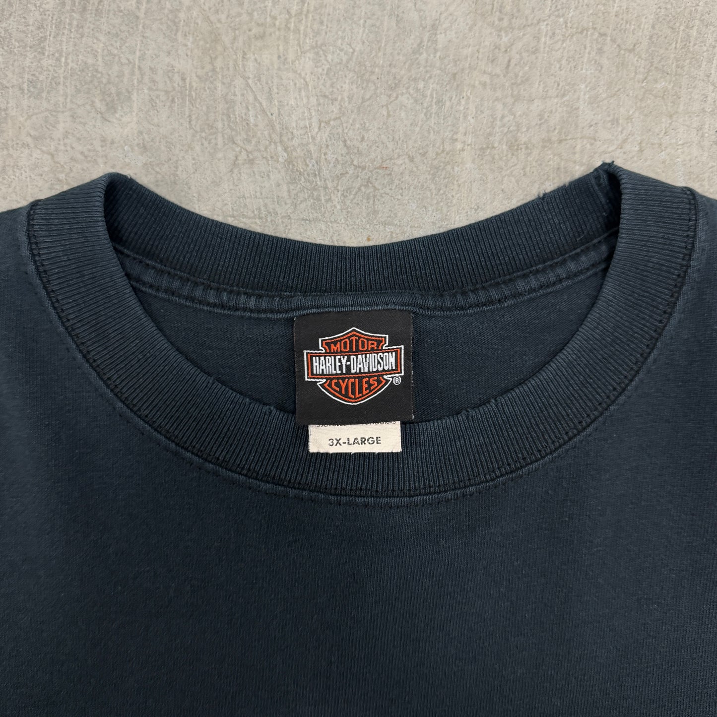 (3XL) Vintage Harley Davidson Flame Skull Longsleeve