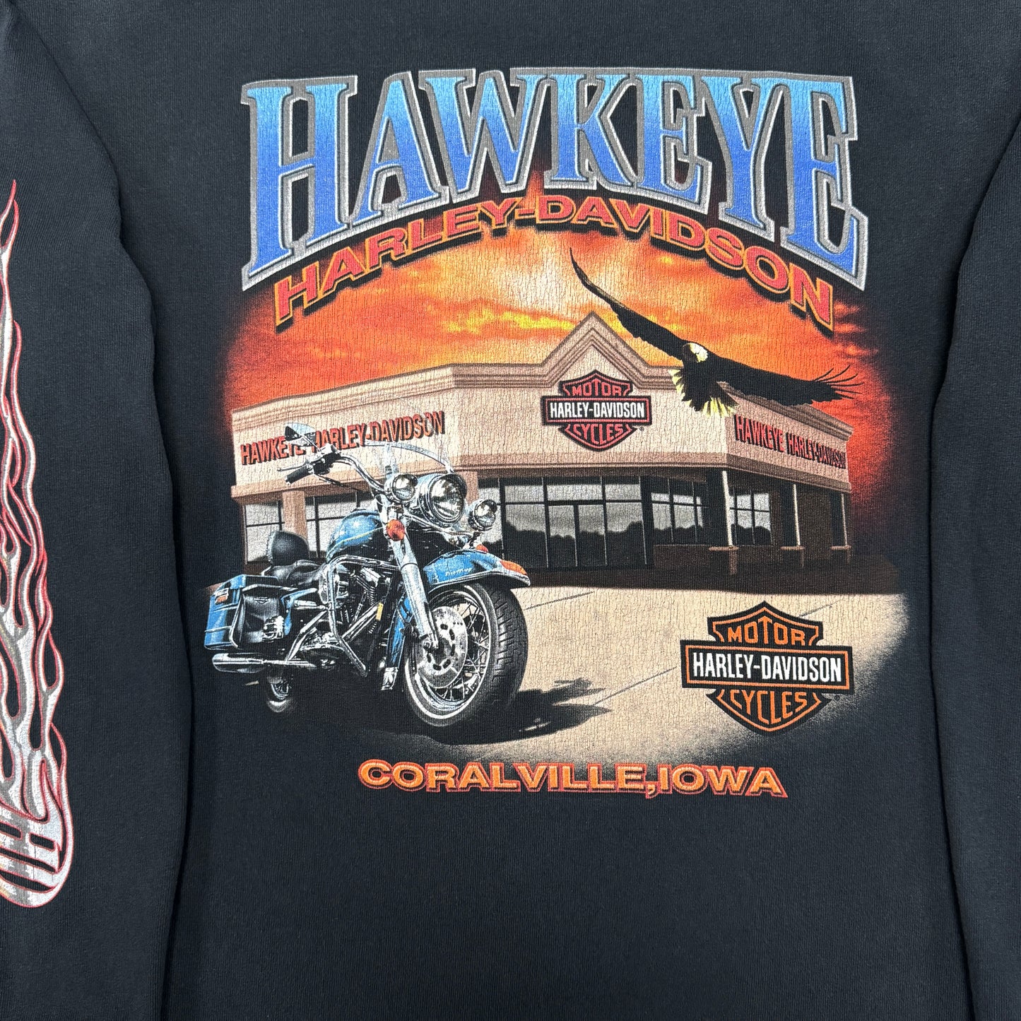 (L) Vintage Harley Davidson Eagle Flame Longsleeve