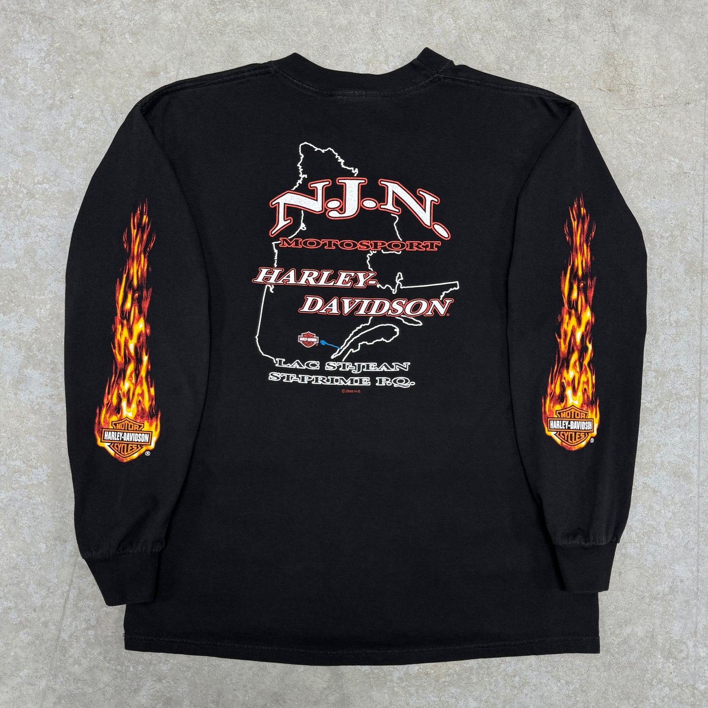 (L) Vintage Harley Davidson Flame Longsleeve