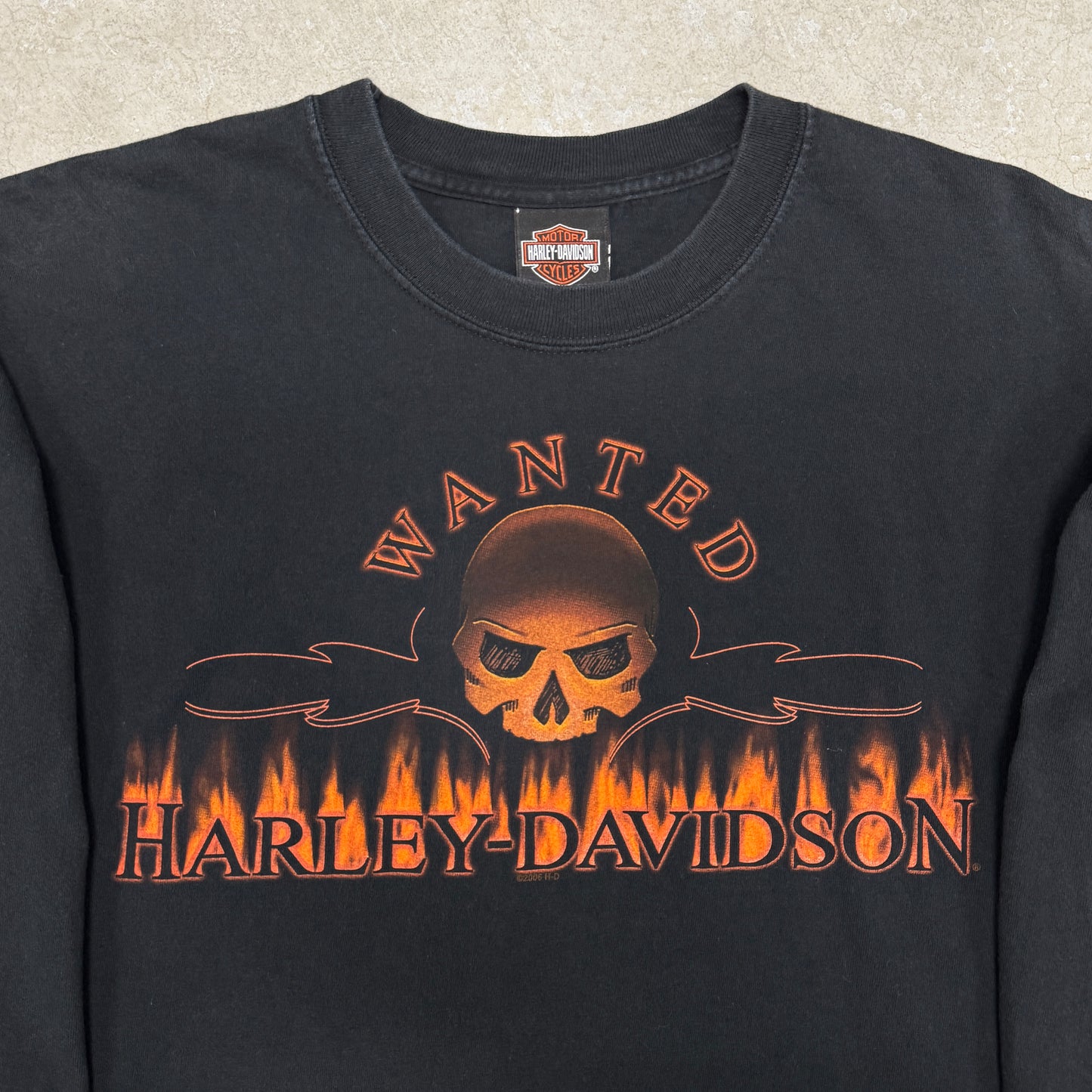 (L) 2006 Harley Davidson Skull Flame Longsleeve