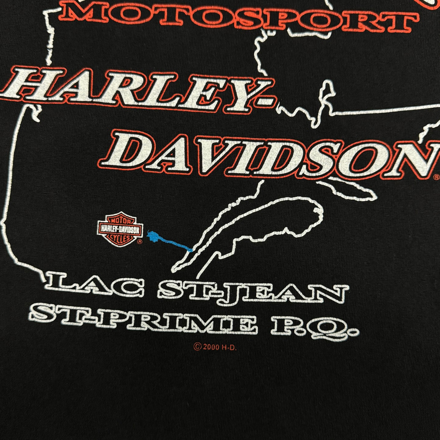 (L) Vintage Harley Davidson Flame Longsleeve