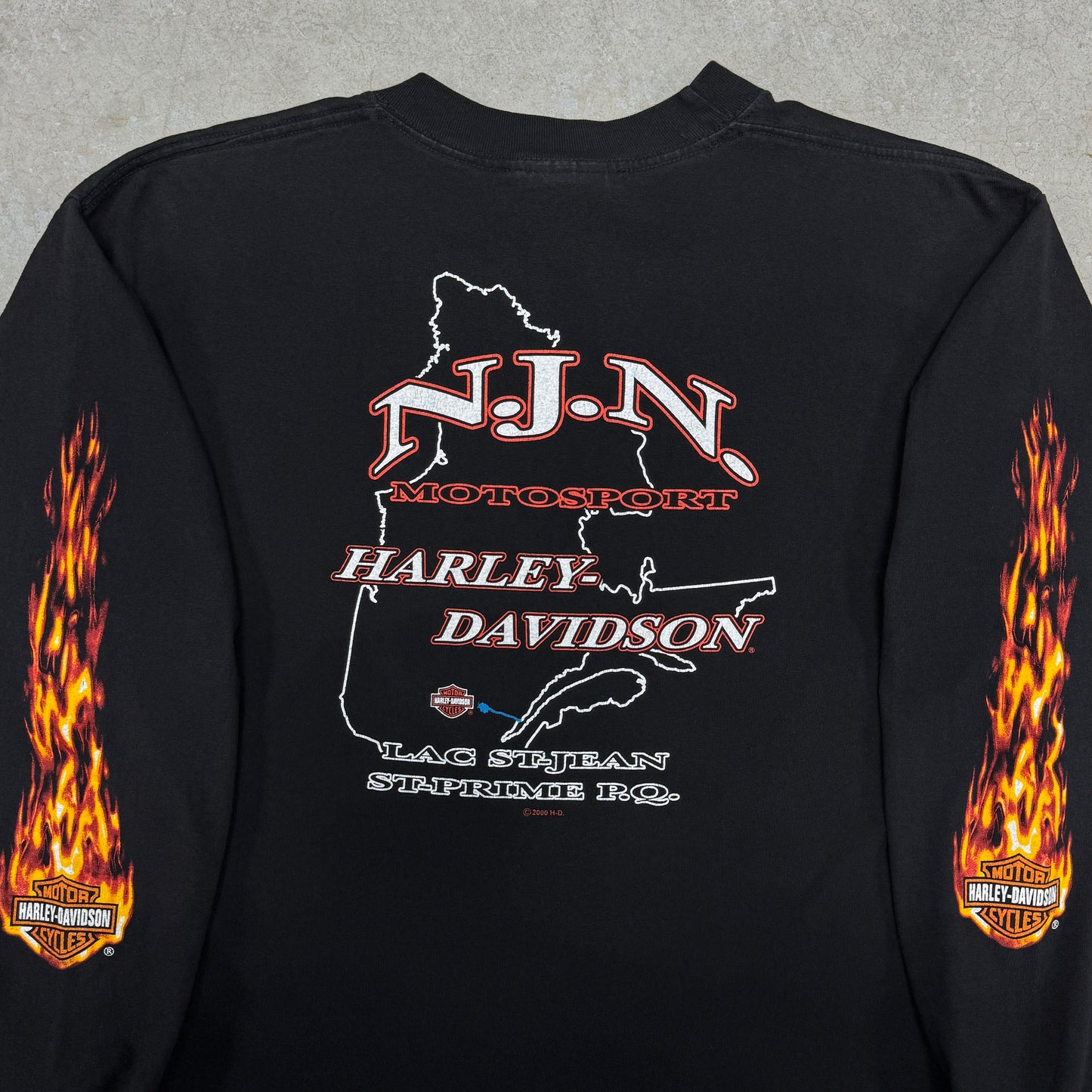 (L) Vintage Harley Davidson Flame Longsleeve