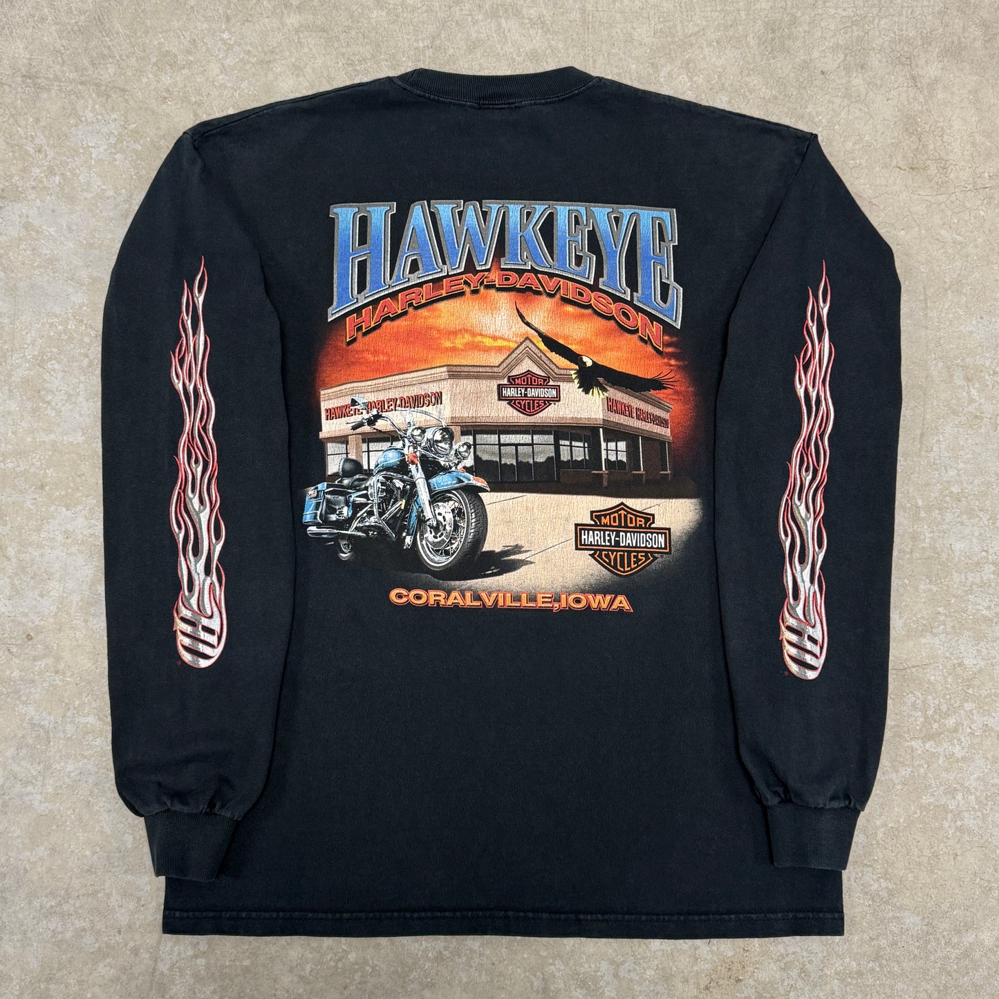 (L) Vintage Harley Davidson Eagle Flame Longsleeve