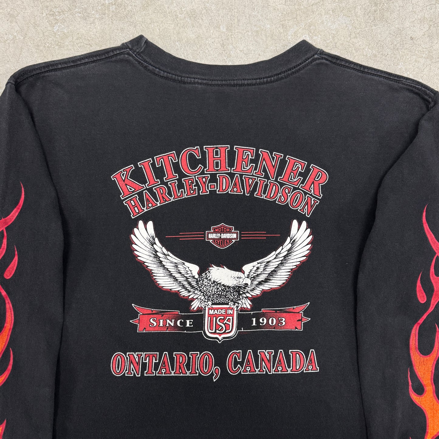 (M) Vintage Harley Davidson Flame Longsleeve