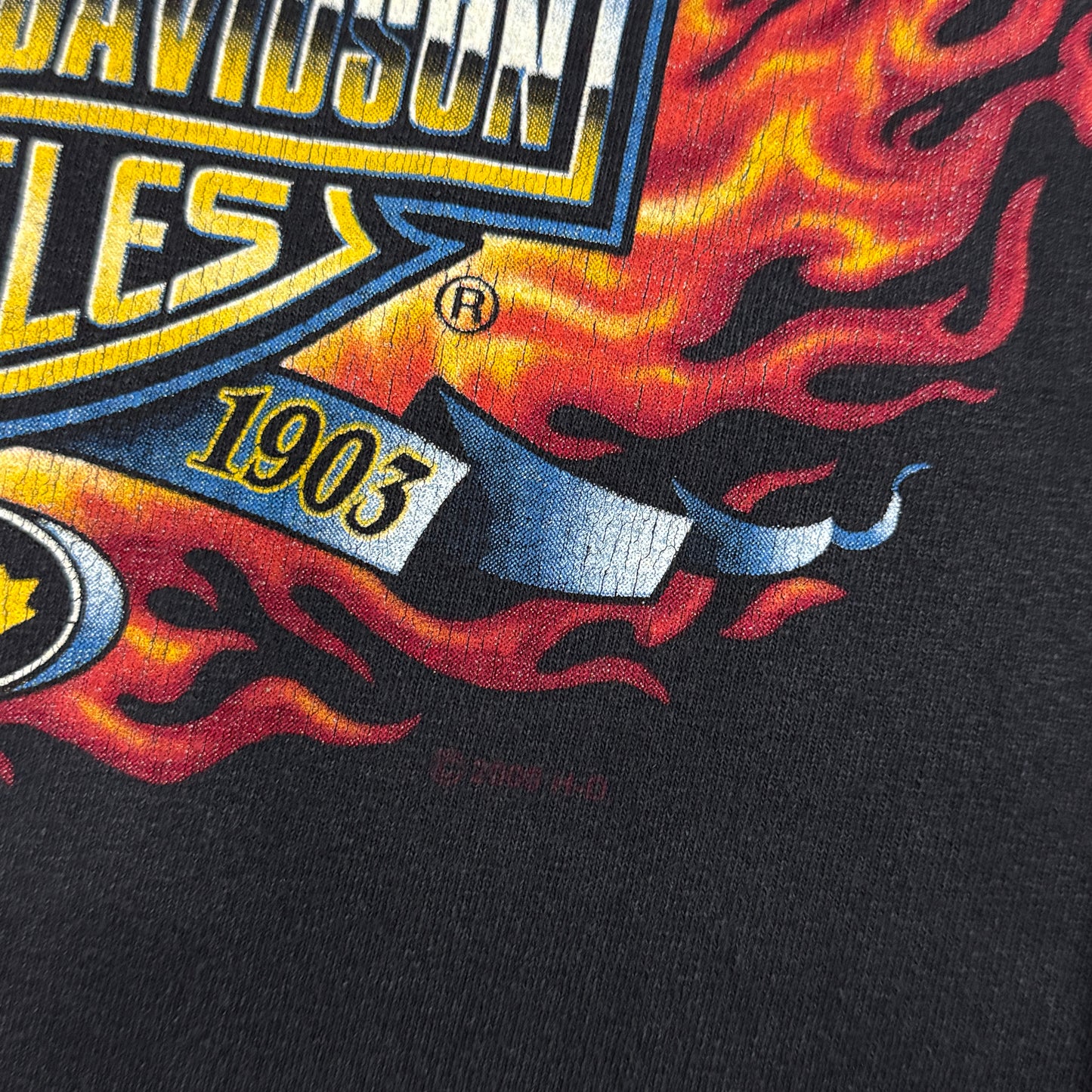 (S) 2002 Harley Davidson Flame Longsleeve