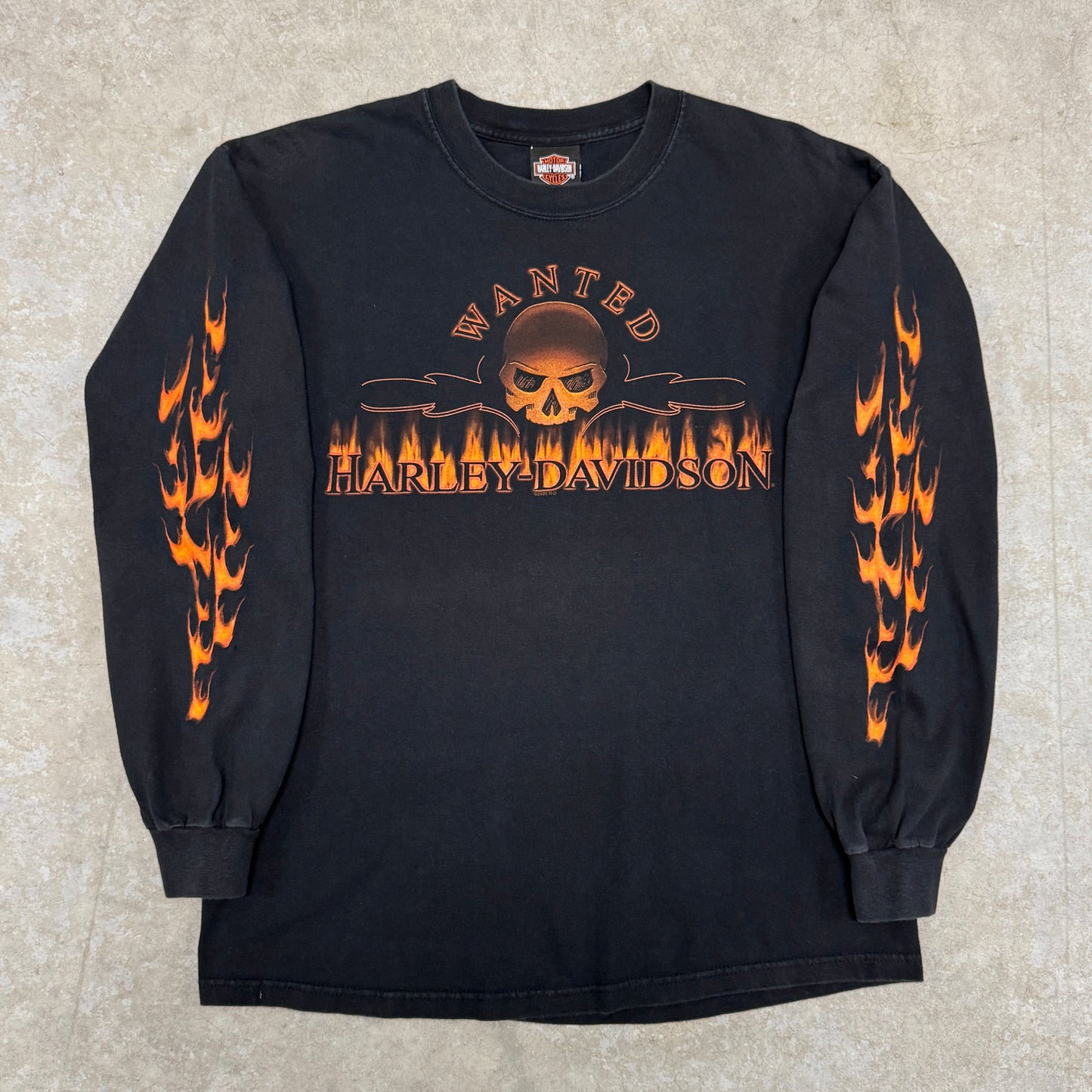 (L) 2006 Harley Davidson Skull Flame Longsleeve